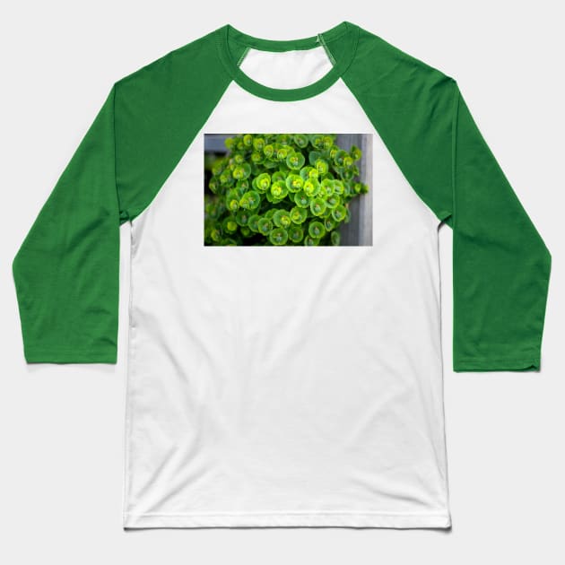 green plant and flowers Baseball T-Shirt by rickylabellevie